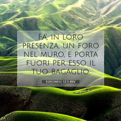 Picture 07 - Ezechiele 12:5 RIV - Fa’, in loro presenza, un foro nel muro, e - Bible Verse Picture