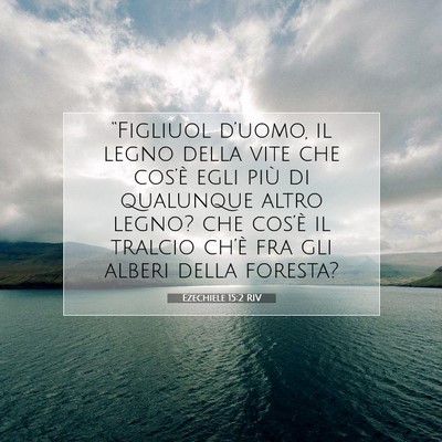 Picture 07 - Ezechiele 15:2 RIV - “Figliuol d’uomo, il legno della vite che - Bible Verse Picture