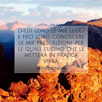 Picture 07 - Ezechiele 20:11 RIV - Diedi loro le mie leggi e feci loro conoscere le - Bible Verse Picture