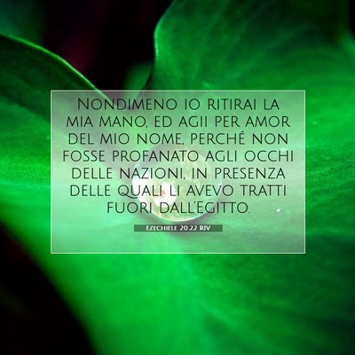 Picture 07 - Ezechiele 20:22 RIV - Nondimeno io ritirai la mia mano, ed agii per - Bible Verse Picture