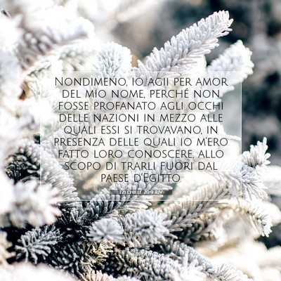 Picture 07 - Ezechiele 20:9 RIV - Nondimeno, io agii per amor del mio nome, perché - Bible Verse Picture