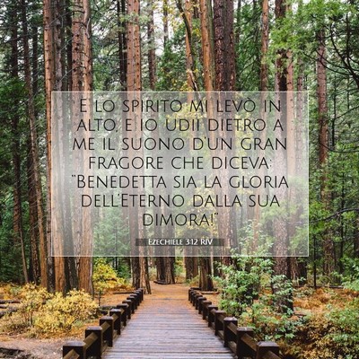Picture 07 - Ezechiele 3:12 RIV - E lo spirito mi levò in alto, e io udii dietro a - Bible Verse Picture