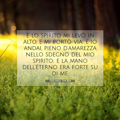 Picture 07 - Ezechiele 3:14 RIV - E lo spirito mi levò in alto, e mi portò via; e - Bible Verse Picture