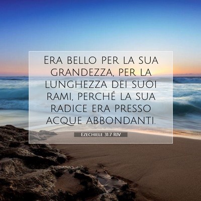 Picture 07 - Ezechiele 31:7 RIV - Era bello per la sua grandezza, per la lunghezza - Bible Verse Picture