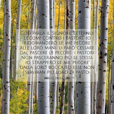Picture 07 - Ezechiele 34:10 RIV - Così parla il Signore, l’Eterno: Eccomi contro - Bible Verse Picture