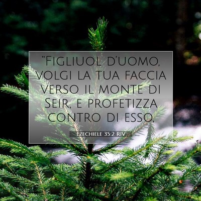 Picture 07 - Ezechiele 35:2 RIV - “Figliuol d’uomo, volgi la tua faccia verso - Bible Verse Picture