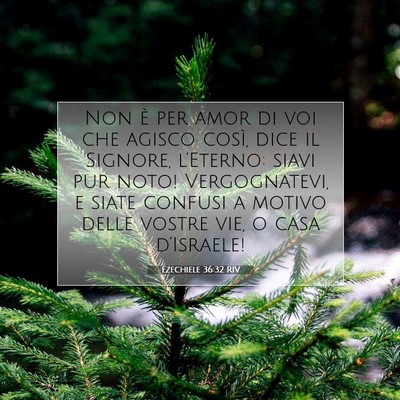 Picture 07 - Ezechiele 36:32 RIV - Non è per amor di voi che agisco così, dice il - Bible Verse Picture