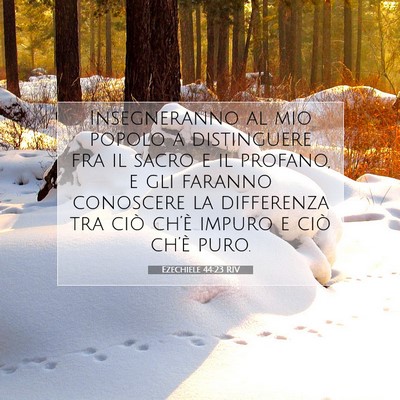 Picture 07 - Ezechiele 44:23 RIV - Insegneranno al mio popolo a distinguere fra il - Bible Verse Picture