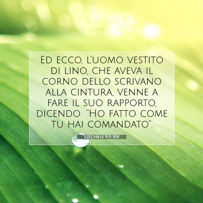 Picture 07 - Ezechiele 9:11 RIV - Ed ecco, l’uomo vestito di lino, che aveva il - Bible Verse Picture