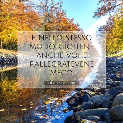 Picture 07 - Filippesi 2:18 RIV - e nello stesso modo gioitene anche voi e - Bible Verse Picture