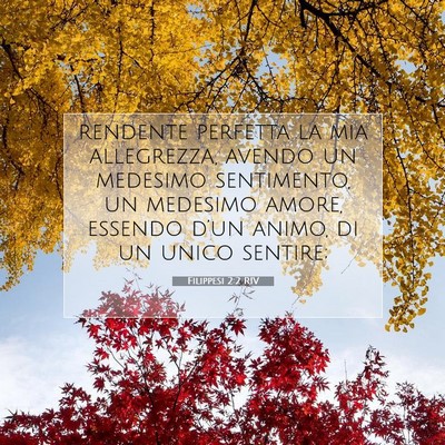 Picture 07 - Filippesi 2:2 RIV - rendente perfetta la mia allegrezza, avendo un - Bible Verse Picture