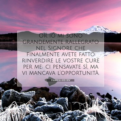 Picture 07 - Filippesi 4:10 RIV - Or io mi sono grandemente rallegrato nel Signore - Bible Verse Picture