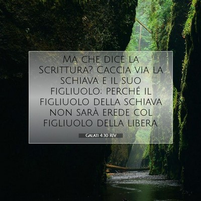Picture 07 - Galati 4:30 RIV - Ma che dice la Scrittura? Caccia via la schiava e - Bible Verse Picture