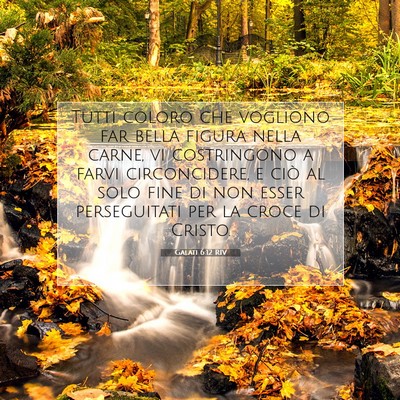 Picture 07 - Galati 6:12 RIV - Tutti coloro che vogliono far bella figura nella - Bible Verse Picture