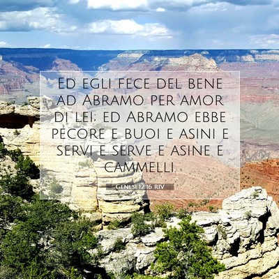 Picture 07 - Genesi 12:16 RIV - Ed egli fece del bene ad Abramo per amor di lei; - Bible Verse Picture