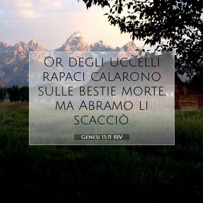 Picture 07 - Genesi 15:11 RIV - Or degli uccelli rapaci calarono sulle bestie - Bible Verse Picture