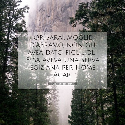 Picture 07 - Genesi 16:1 RIV - Or Sarai, moglie d’Abramo, non gli avea dato - Bible Verse Picture