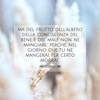 Picture 07 - Genesi 2:17 RIV - ma del frutto dell’albero della conoscenza del - Bible Verse Picture