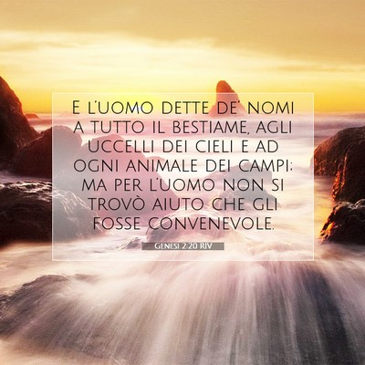 Picture 07 - Genesi 2:20 RIV - E l’uomo dette de’ nomi a tutto il bestiame, - Bible Verse Picture