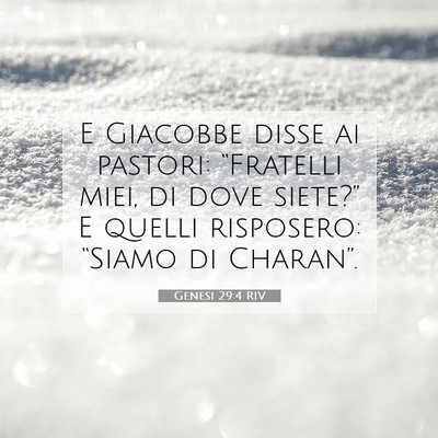 Picture 07 - Genesi 29:4 RIV - E Giacobbe disse ai pastori: “Fratelli miei, di - Bible Verse Picture