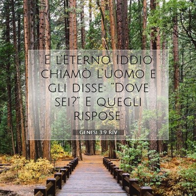 Picture 07 - Genesi 3:9 RIV - E l’Eterno Iddio chiamò l’uomo e gli disse: - Bible Verse Picture