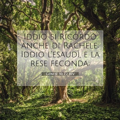 Picture 07 - Genesi 30:22 RIV - Iddio si ricordò anche di Rachele; Iddio - Bible Verse Picture