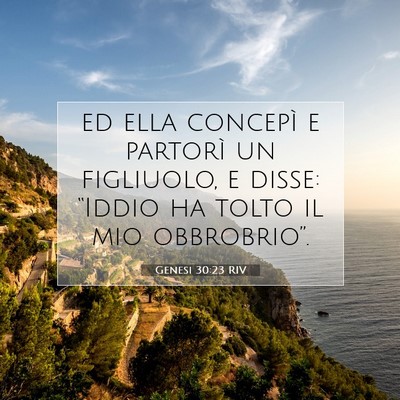Picture 07 - Genesi 30:23 RIV - ed ella concepì e partorì un figliuolo, e - Bible Verse Picture