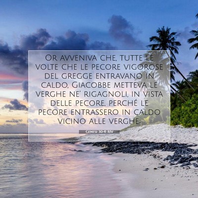 Picture 07 - Genesi 30:41 RIV - Or avveniva che, tutte le volte che le pecore - Bible Verse Picture