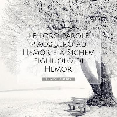 Picture 07 - Genesi 34:18 RIV - Le loro parole piacquero ad Hemor e a Sichem - Bible Verse Picture