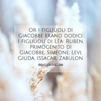 Picture 07 - Genesi 35:23 RIV - Or i figliuoli di Giacobbe erano dodici. I - Bible Verse Picture