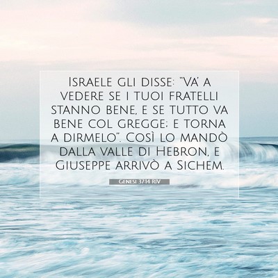 Picture 07 - Genesi 37:14 RIV - Israele gli disse: “Va’ a vedere se i tuoi - Bible Verse Picture