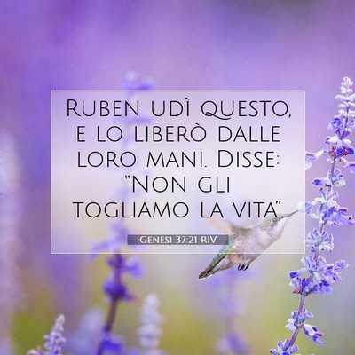 Picture 07 - Genesi 37:21 RIV - Ruben udì questo, e lo liberò dalle loro mani. - Bible Verse Picture