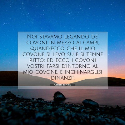 Picture 07 - Genesi 37:7 RIV - Noi stavamo legando de’ covoni in mezzo ai - Bible Verse Picture
