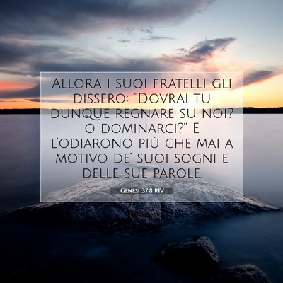 Picture 07 - Genesi 37:8 RIV - Allora i suoi fratelli gli dissero: “Dovrai tu - Bible Verse Picture