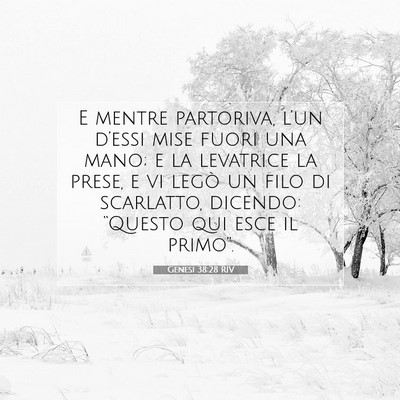 Picture 07 - Genesi 38:28 RIV - E mentre partoriva, l’un d’essi mise fuori - Bible Verse Picture