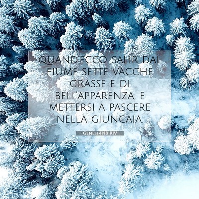 Picture 07 - Genesi 41:18 RIV - quand’ecco salir dal fiume sette vacche grasse - Bible Verse Picture