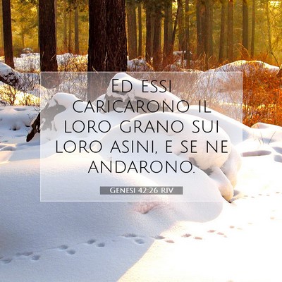 Picture 07 - Genesi 42:26 RIV - Ed essi caricarono il loro grano sui loro asini, - Bible Verse Picture