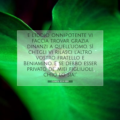 Picture 07 - Genesi 43:14 RIV - e l’Iddio onnipotente vi faccia trovar grazia - Bible Verse Picture