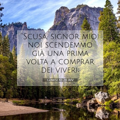Picture 07 - Genesi 43:20 RIV - “Scusa, signor mio! noi scendemmo già una - Bible Verse Picture