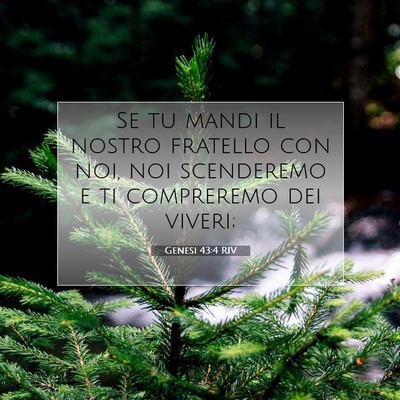 Picture 07 - Genesi 43:4 RIV - Se tu mandi il nostro fratello con noi, noi - Bible Verse Picture