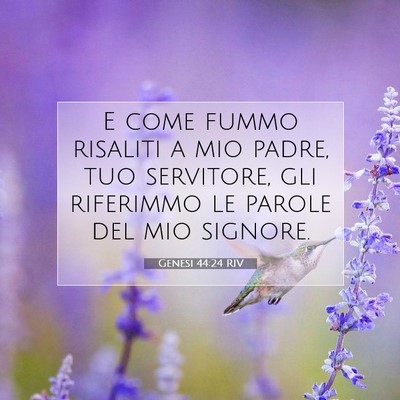 Picture 07 - Genesi 44:24 RIV - E come fummo risaliti a mio padre, tuo servitore, - Bible Verse Picture