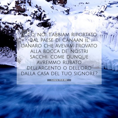 Picture 07 - Genesi 44:8 RIV - Ecco, noi t’abbiam riportato dal paese di - Bible Verse Picture