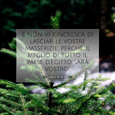 Picture 07 - Genesi 45:20 RIV - E non vi rincresca di lasciar le vostre - Bible Verse Picture