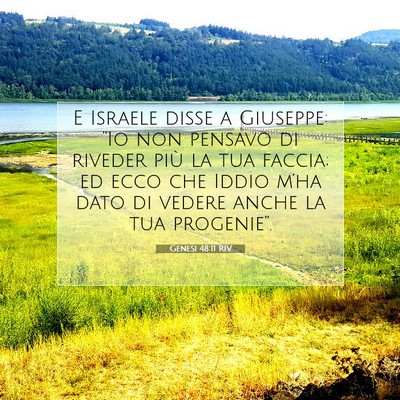 Picture 07 - Genesi 48:11 RIV - E Israele disse a Giuseppe: “Io non pensavo di - Bible Verse Picture
