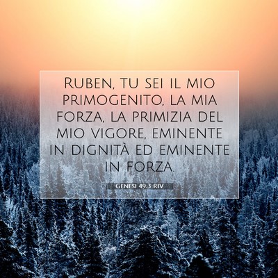 Picture 07 - Genesi 49:3 RIV - Ruben, tu sei il mio primogenito, la mia forza, - Bible Verse Picture