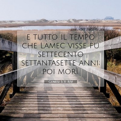 Picture 07 - Genesi 5:31 RIV - e tutto il tempo che Lamec visse fu settecento - Bible Verse Picture
