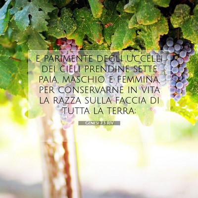 Picture 07 - Genesi 7:3 RIV - e parimente degli uccelli dei cieli prendine - Bible Verse Picture