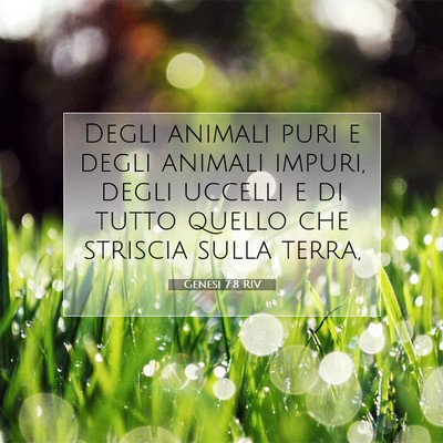 Picture 07 - Genesi 7:8 RIV - Degli animali puri e degli animali impuri, degli - Bible Verse Picture