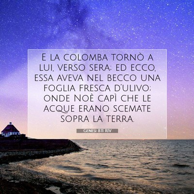 Picture 07 - Genesi 8:11 RIV - E la colomba tornò a lui, verso sera; ed ecco, - Bible Verse Picture