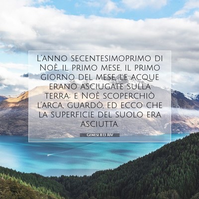 Picture 07 - Genesi 8:13 RIV - L’anno secentesimoprimo di Noè, il primo mese, - Bible Verse Picture